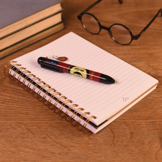 HARRY POTTER - PEN 6 KLEUREN