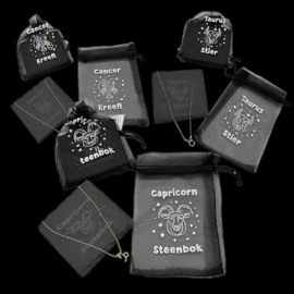 HOROSCOOP COASTER+KETTING