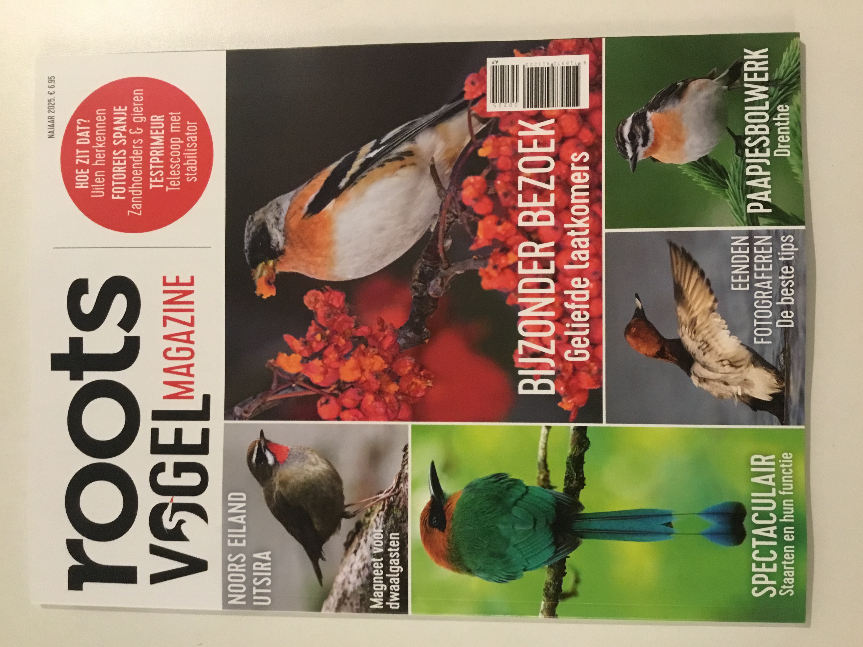 ROOTS VOGELMAGAZINE