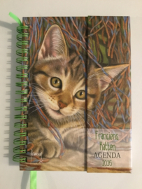 FRANCIENS KATTEN SPIRAALAGENDA 2026