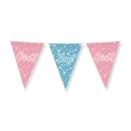 GENDER REVEAL - PARTY FLAG DECORATIONS