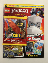 LEGO NINJAGO