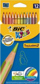 BIC DOOS 12 KLEURENPOTLODEN