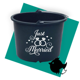Emmer Just married2