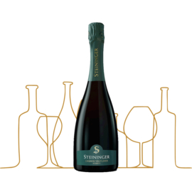 Steininger | Grüner Veltliner Réserve 2020