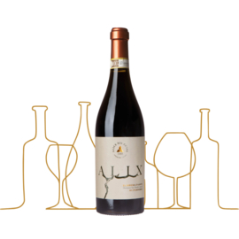 Alix Barbera d´Asti Superiore DOCG 2020