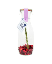 de Pineut tafelwater cranberry / kers / rozemarijn 