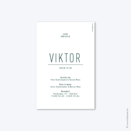 Geboortekaartje // Viktor