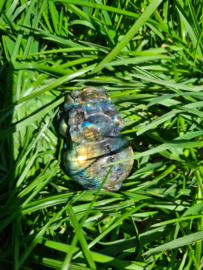 Labradorite Pixui 2