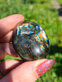 Labradoriet palmsteen 51