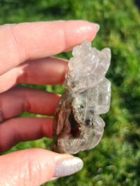 Garden quartz Dragon turtle 2