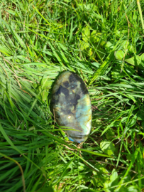 Labradoriet palmsteen 67