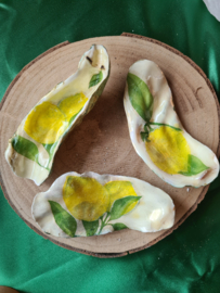 Schelpen decoratie setje 9