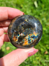 Labradoriet palmsteen 3