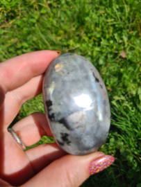 Labradoriet palmsteen 42