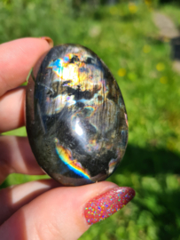 Labradoriet palmsteen 51