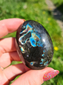 Labradoriet palmsteen 40