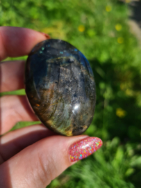 Labradoriet palmsteen 63