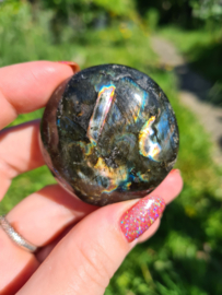 Labradoriet palmsteen 54