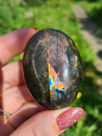 Labradoriet palmsteen 69