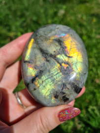 Labradoriet palmsteen 49