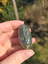 Lodoliet met rutiel shiva