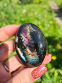 Labradoriet palmsteen 64