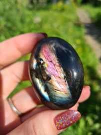 Labradoriet palmsteen 64