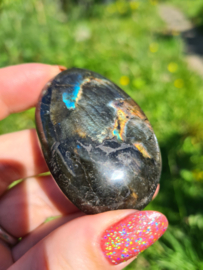 Labradoriet palmsteen 59