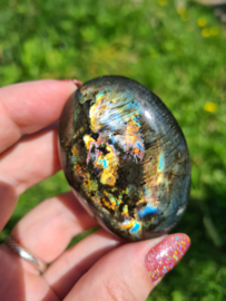 Labradoriet palmsteen 25