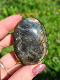 Labradoriet palmsteen 50