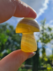 Fluoriet paddenstoel 11