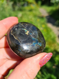 Labradoriet palmsteen 54