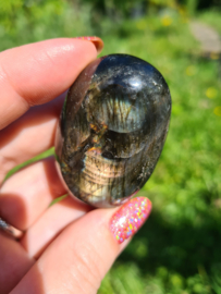 Labradoriet palmsteen 53