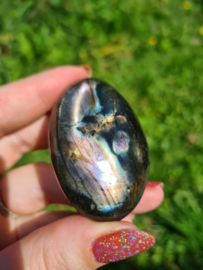 Labradoriet palmsteen 43