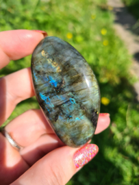 Labradoriet palmsteen 67