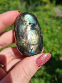 Labradoriet palmsteen 53