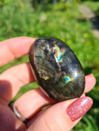 Labradoriet palmsteen 59