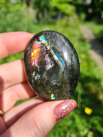 Labradoriet palmsteen 70