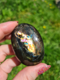 Labradoriet palmsteen 24