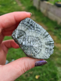 Seraphinite 10