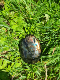 Labradoriet palmsteen 24