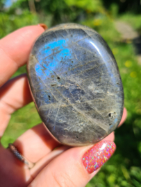 Labradoriet palmsteen 55