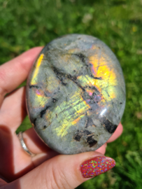 Labradoriet palmsteen 49