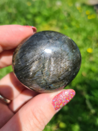 Labradoriet palmsteen 26