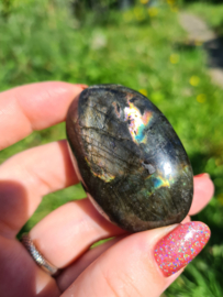 Labradoriet palmsteen 59