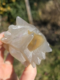 Aura coated agaat draak