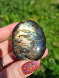 Labradoriet palmsteen 50