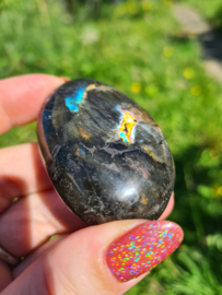 Labradoriet palmsteen 59