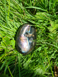 Labradoriet palmsteen 43